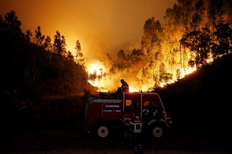 تصاویر جدید از آتش‌سوزی مرگبار در جنگل‌های پرتغال